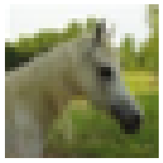 image of a horse